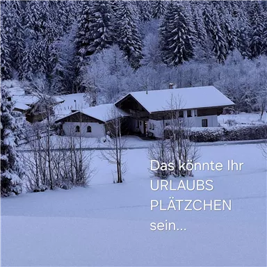 Ein verschneites Ferienhaus umgeben von schneebedeckten Bäumen. Die ruhige Winterlandschaft lädt zur Erholung ein.