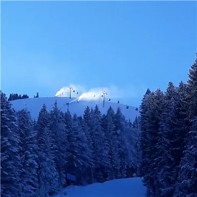 Ein verschneiter Berg mit Skiliften und einem klaren blauen Himmel. Dichte, schneebedeckte Bäume umgeben die Piste.