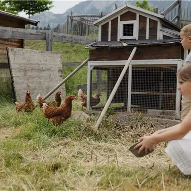Ein kleines Hühnergehege mit mehreren Hühnern in einem grünen Garten. Zwei Kinder spielen in der Nähe und beschäftigen sich mit den Hühnern.