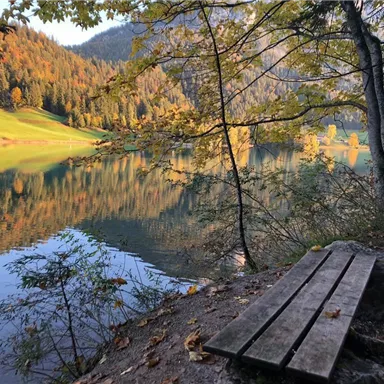 Ein ruhiger See umgeben von herbstlichen Bäumen und sanften Hügeln. Eine Holzbank lädt zum Entspannen und Genießen der Landschaft ein.