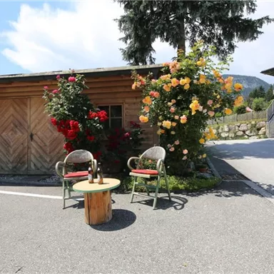 Ein gemütlicher Außenbereich mit zwei Stühlen und einem kleinen Tisch. Im Hintergrund blühen farbige Rosen und es ist eine Holzlaube zu sehen.
