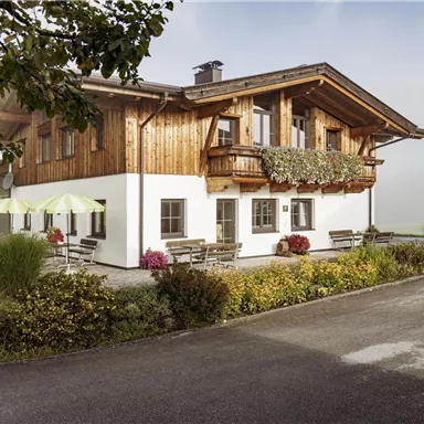 A charming house in alpine style with wooden cladding and a balcony. Surrounded by green meadows and blooming plants.