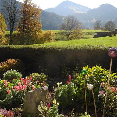 Ein blühender Garten mit bunten Blumen und einem Blick auf die hügelige Landschaft. Im Hintergrund sind Berge und ein klarer Himmel zu sehen.