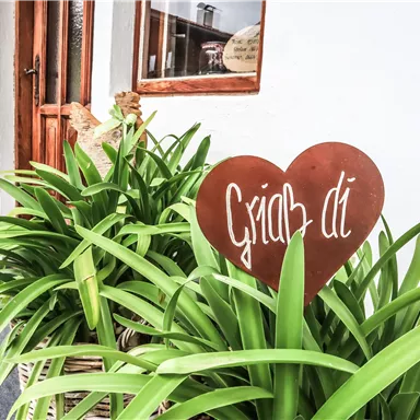 Ein hübscher Außenbereich mit grünen Pflanzen und einem herzförmigen Schild. Das Schild trägt die Aufschrift "Gíâp đí".
