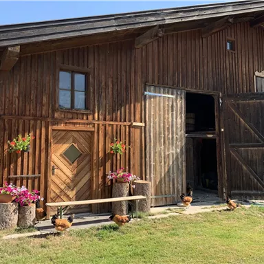 Eine rustikale Holzhütte mit großen Türen und blühenden Pflanzen. Im Vordergrund gibt es einige Hühner und eine grüne Wiese.