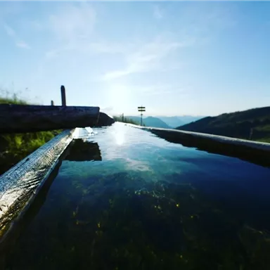 A tranquil wooden canal with clear water, surrounded by green meadows and mountains in the background. The sky is blue with some clouds.