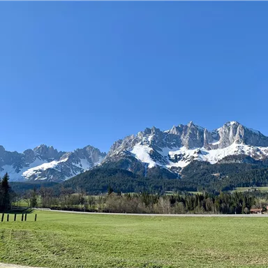 Eine beeindruckende Berglandschaft mit schneebedeckten Gipfeln und klarem blauen Himmel. Im Vordergrund erstreckt sich eine grüne Wiese.