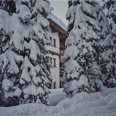 A snow-covered house hides among tall, snow-laden fir trees. The landscape is wintry and calm.