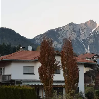 Ein gemütliches Haus mit einem roten Dach und einem schönen Garten. Im Hintergrund erheben sich majestätische Berge.