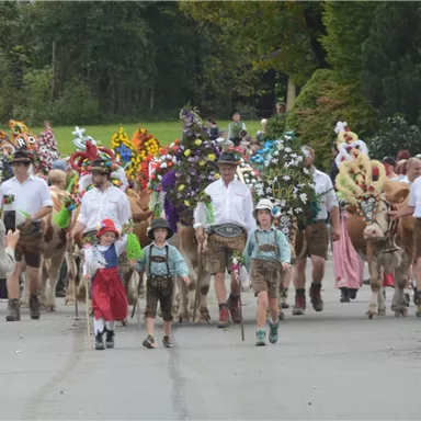 Eine festliche Umzugsparade mit geschmückten Kühen und Menschen in traditioneller Kleidung. Kinder und Erwachsene marschieren gemeinsam auf der Straße.