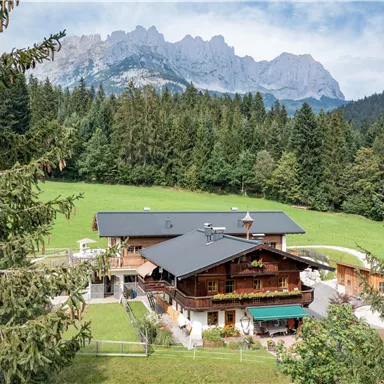 Eine malerische Berghütte umgeben von dichten Wäldern und Wiesen. Im Hintergrund erheben sich majestätische Berge unter einem klaren Himmel.