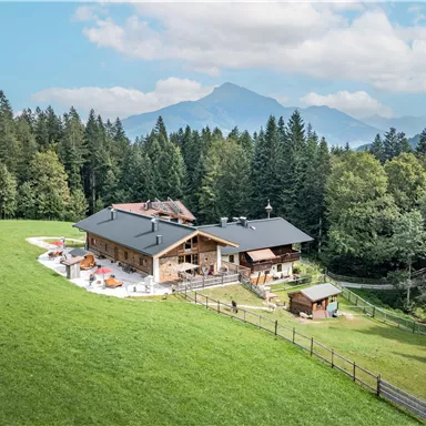 Ein schönes Bauernhaus umgeben von grünen Wiesen und dichten Wäldern. Im Hintergrund sind sanfte Berge und ein blauer Himmel zu sehen.