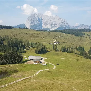 Eine malerische Landschaft mit sanften Hügeln und ausgedehnten Wäldern. Im Hintergrund ist ein majestätischer Berg und ein kleiner Teich zu sehen.
