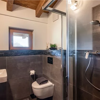 Ein modernes Badezimmer mit einer Dusche, einem Waschbecken und einer Toilette. Die Wände sind in neutralen Farben gehalten, und es gibt viel natürliches Licht durch das Fenster.