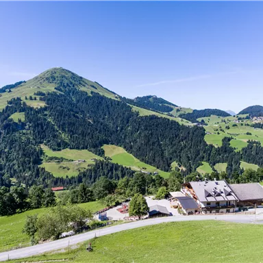 Eine malerische Landschaft mit sanften Hügeln und Bergen im Hintergrund. Im Vordergrund sieht man ein Bauernhaus und saftige Wiesen.