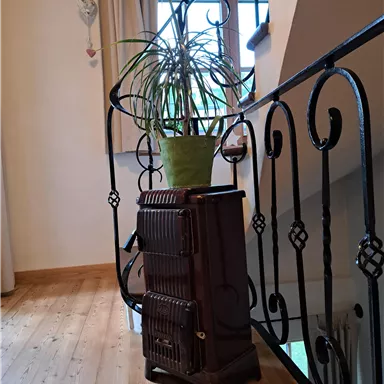 Ein stilvoller Treppenbereich mit einem alten Schrank und einer Pflanze in einem grünen Topf. Die Umgebung ist hell und freundlich gestaltet.