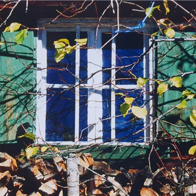 A window with green shutters and a beautiful view. In the foreground, branches and a stack of wood can be seen.