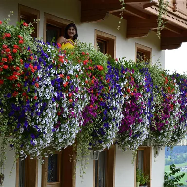 Ein schöner Balkon voller bunter Blumen in verschiedenen Farben. Im Hintergrund ist eine grüne Landschaft zu sehen.