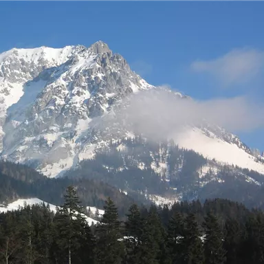 Eine majestätische Berglandschaft mit schneebedeckten Gipfeln und klarem Himmel. Im Vordergrund sind grüne Bäume sichtbar.