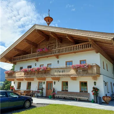 Ein traditionelles Berghaus mit Holzbalustraden und blühenden Blumenkästen. Der Himmel ist blau und die Umgebung ist grün.