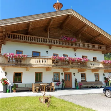Ein traditionelles Alpenhaus mit einem Holz-Giebel und blühenden Balkonen. Der Himmel ist klar und blau, umgeben von einer grünen Wiese.