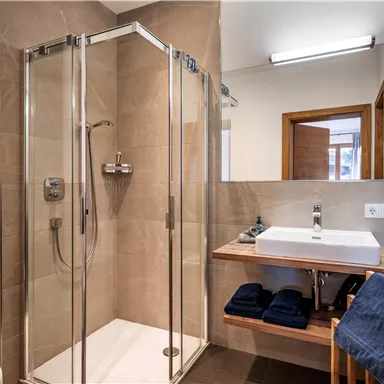 A modern bathroom with a glass shower and a stylish sink. Towels are neatly placed on a wooden shelf.