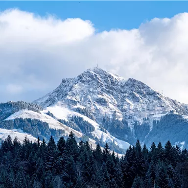 A majestic mountain with a snow-capped peak and green forests in the foreground. The sky is clear with a few clouds.
