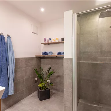 A modern bathroom with a shower and elegant gray tiles. There are towels and a small plant for a fresh accent.