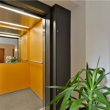 A modern elevator with orange walls and a window. A plant stands next to the elevator door.