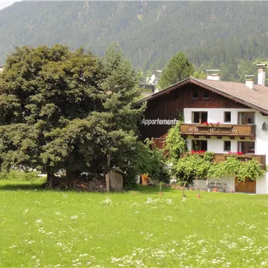 A charming building with balconies, surrounded by a green meadow. In the background, gentle hills can be seen.