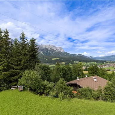 Eine idyllische Landschaft mit grünen Wiesen und dichten Tannenbäumen. Im Hintergrund sind Berge und ein klarer Himmel zu sehen.