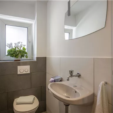 A modern bathroom with a small sink and a mirror. A window lets in daylight and a plant adds a fresh touch.