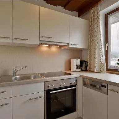A modern kitchen with white cabinets and stainless steel appliances. A window lets in plenty of light and a small plant decorates the countertop.