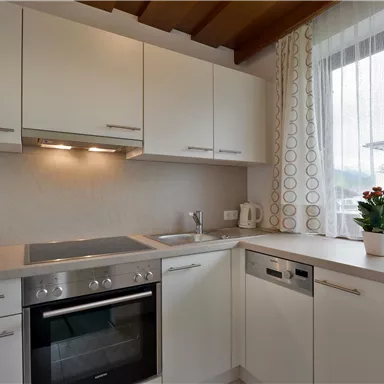 A modern kitchen with white cabinets and an elegant design. Next to the sink, there is a pot with a green plant by the window.