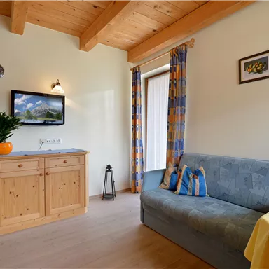 Ein gemütlicher Wohnraum mit Holzdecke und großen Fenstern. Ein Sofa, ein Couchtisch und ein Fernseher ergänzen die Ausstattung.