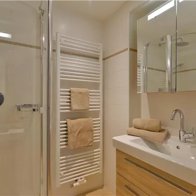 A modern bathroom with a shower and a sink. Towels and a towel warmer are also available.