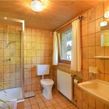 Ein Badezimmer mit Dusche, Toilette und Waschbecken. Die Wände sind mit braunen Fliesen ausgekleidet und es gibt Fenster für Tageslicht.