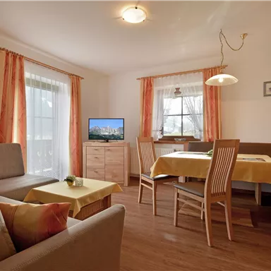 Ein helles Wohnzimmer mit einem Sofa, einem Esstisch und einem Fernseher. Große Fenster lassen viel Licht herein und der Raum hat eine freundliche Atmosphäre.