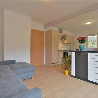 Ein modernes Wohn- und Esszimmer mit einer grauen Couch und einem großen Fernseher. Die Küche ist offen und hat einen eleganten Esstisch mit Blumen als Dekoration.