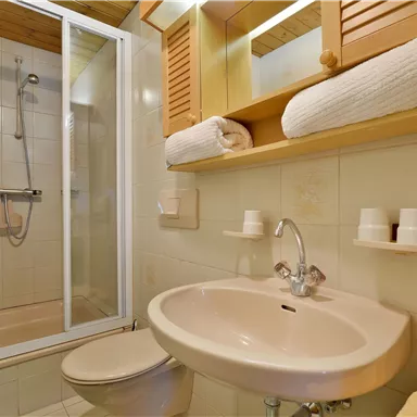 Ein modernes Badezimmer mit Dusche und einem Waschbecken. Handtücher und Toilettenartikel sind ordentlich platziert.