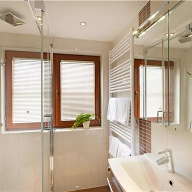 A modern bathroom with a glass shower and a sink. Large windows provide plenty of natural light and a pleasant atmosphere.