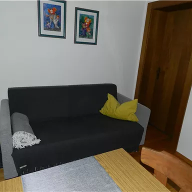 Ein modernes Wohnzimmer mit einem grauen Sofa und einem gelben Kissen. An der Wand hängen zwei Gemälde, und ein holzverkleideter Eingang ist sichtbar.