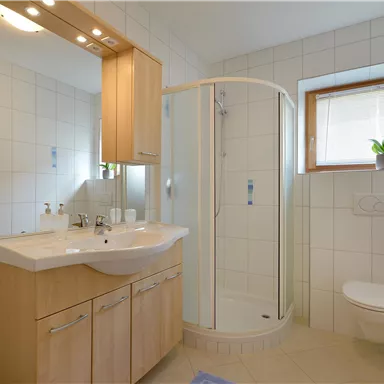 A modern bathroom with a bright tiled floor and a shower. The room is well-lit and features a large mirror as well as a small plant on the window sill.