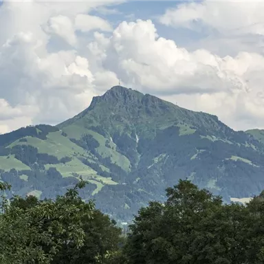 A majestic mountain with green meadows and clouds in the sky. The landscape is calm and inviting.