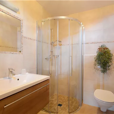 Ein modernes Badezimmer mit einer Duschkabine und einem Waschtisch aus Holz. Die Wände sind hell und es gibt einen kleinen Pflanzenakzent.