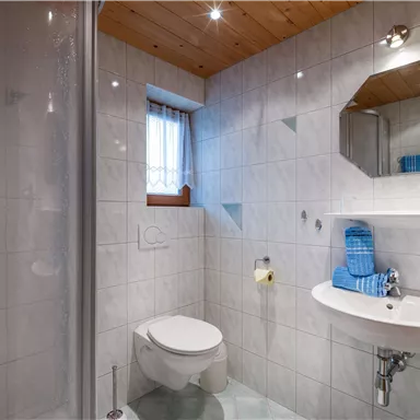 A modern bathroom with a shower, a sink, and a toilet. Bright tiles and a wooden ceiling create a friendly atmosphere.