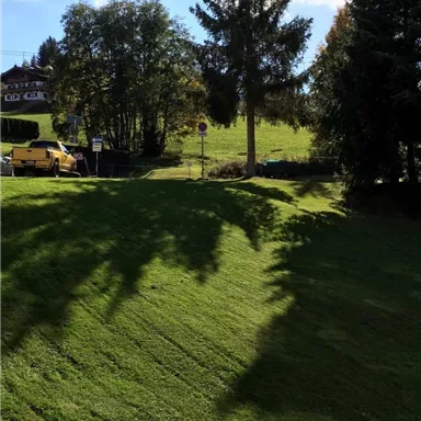 Eine grüne Wiese mit Schatten von Bäumen und einem klaren blauen Himmel. Im Hintergrund sind einige Gebäude und Fahrzeuge zu sehen.