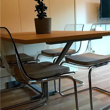 Ein moderner Esstisch mit vier transparenten Stühlen und einer Pflanze in einem Topf. Im Hintergrund ist ein Fernseher sichtbar.