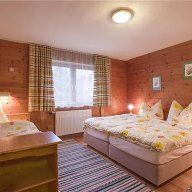 A cozy room with two beds and rustic wooden walls.  
Daylight streams through the window and there is a warm atmosphere with a colorful carpet design.