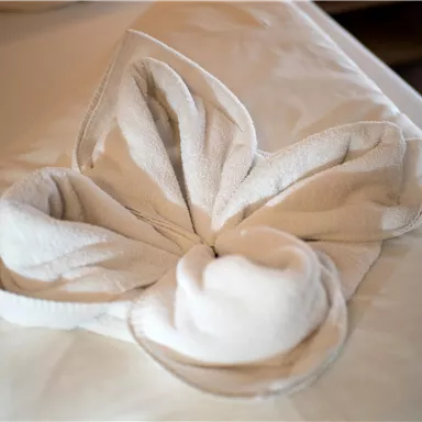 An artistically folded towel on a bed. It looks like a flower and adds an inviting atmosphere to the room.